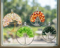 Tree of Life  Class