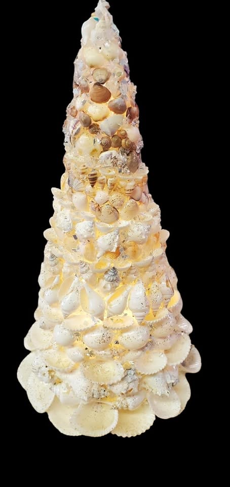 Sea Shell Tree Class